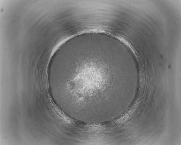 X0000060810886200511141503