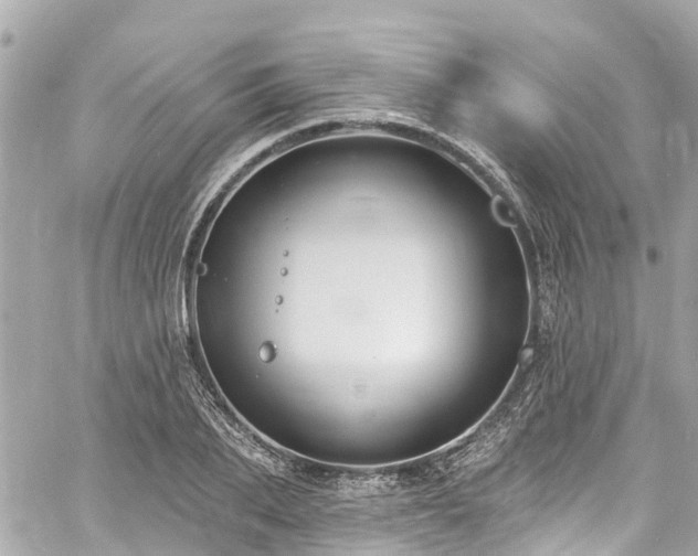 X0000060810887200511141503