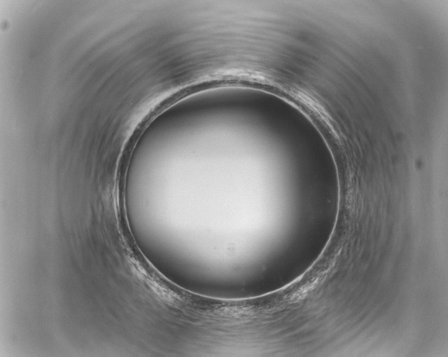 X0000060810888200511141503