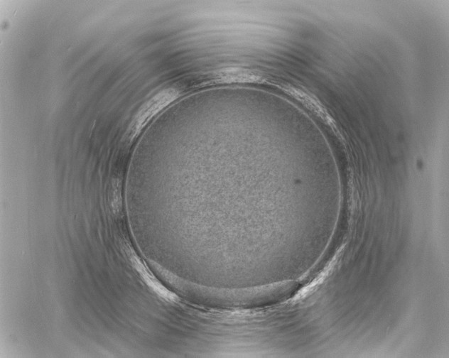 X0000060810889200511141503