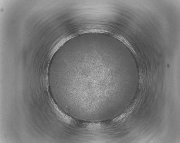 X0000060810890200511141503