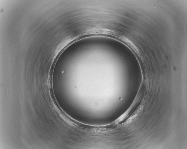 X0000060810893200511141503