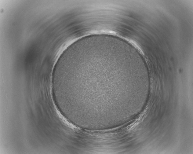 X0000060810895200511141503