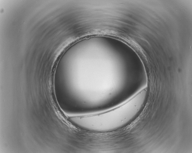 X0000060810896200511141503