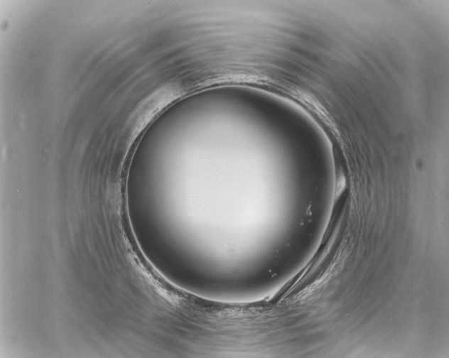 X0000060810898200511141503