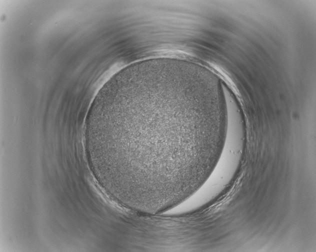 X0000060810899200511141503