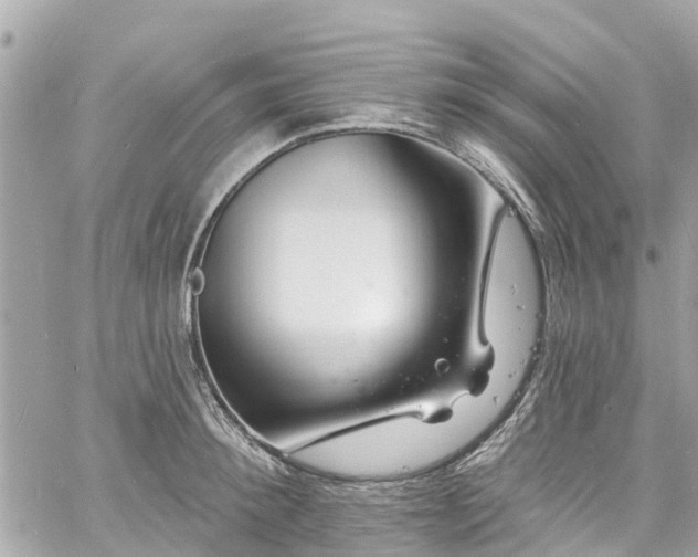 X0000060810900200511141503