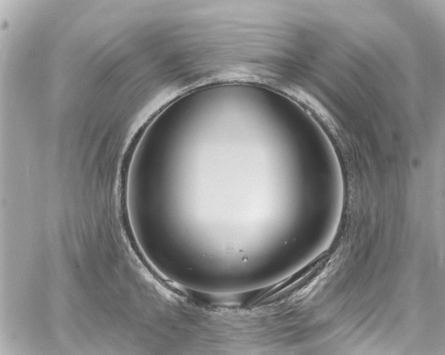 X0000060810902200511141503