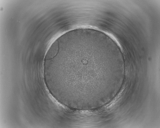 X0000060810903200511141503