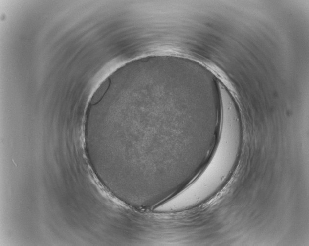 X0000060810904200511141503