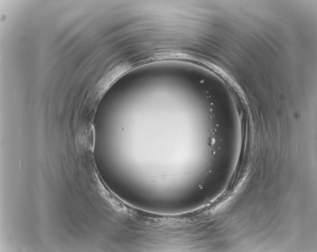 X0000060810905200511141503