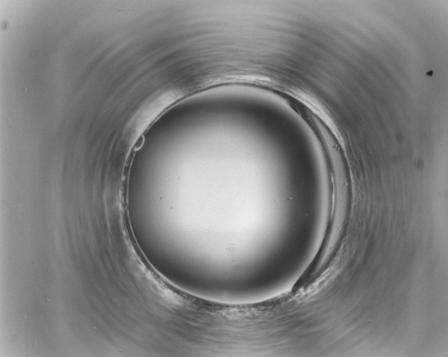 X0000060810906200511141503