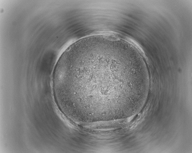 X0000060810907200511141503