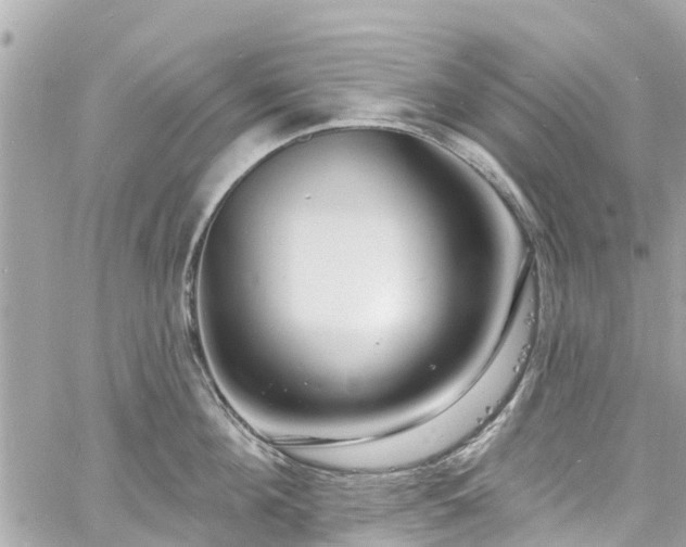 X0000060810908200511141503