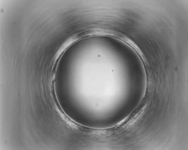 X0000060810909200511141503