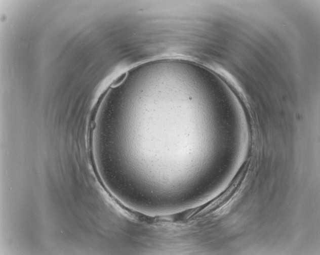 X0000060810910200511141503