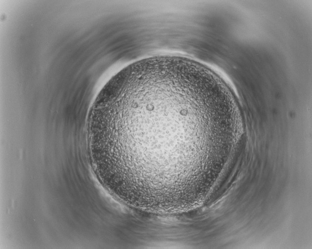 X0000060810911200511141503