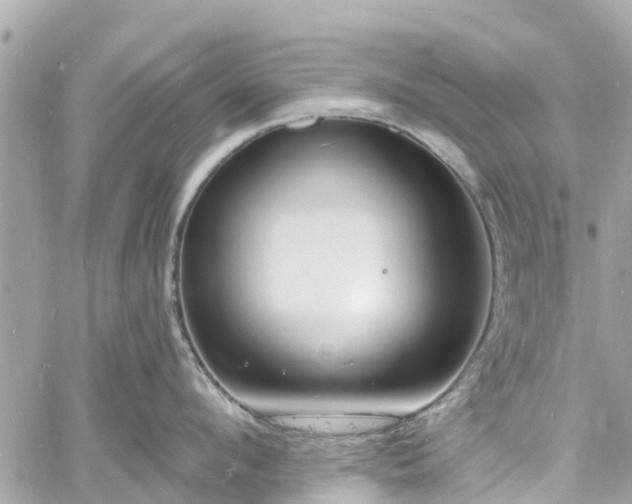 X0000060810912200511141503