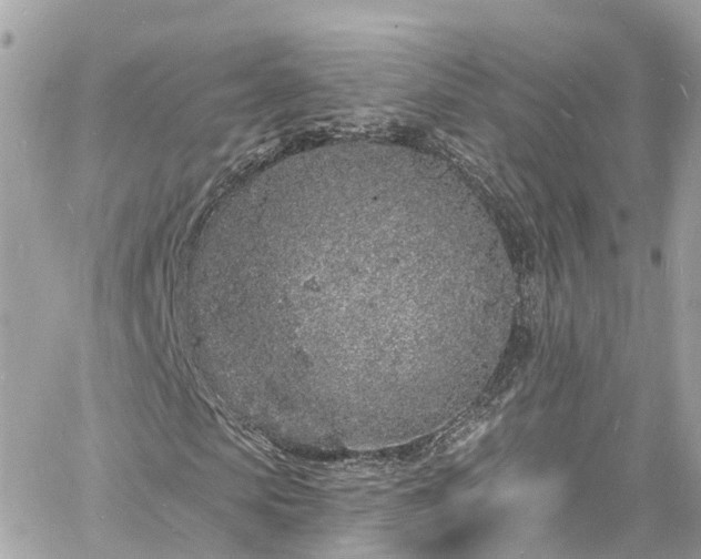 X0000060810913200511141502