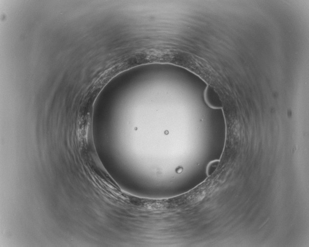 X0000060810914200511141502