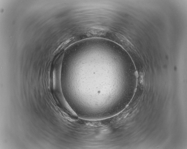 X0000060810915200511141502