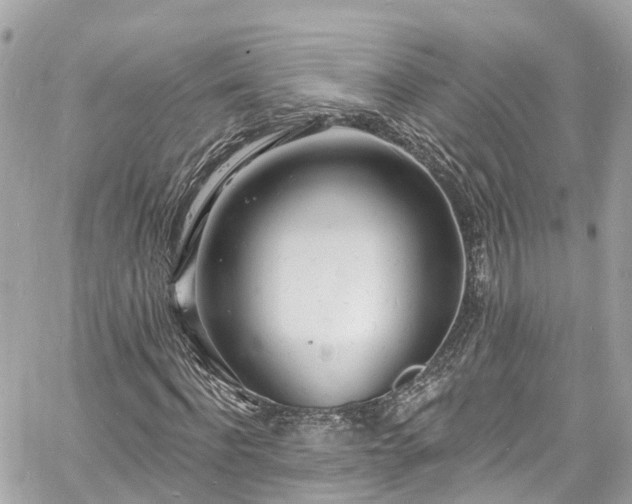 X0000060810916200511141502