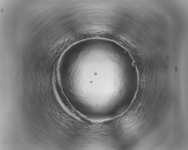 X0000060810917200511141502