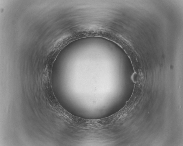 X0000060810918200511141502