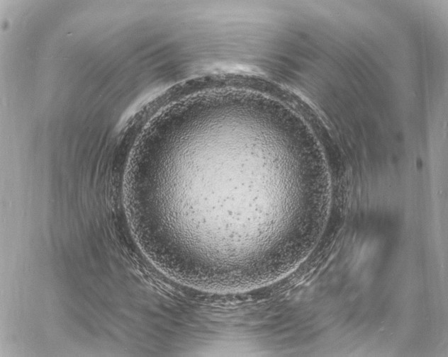 X0000060810919200511141502