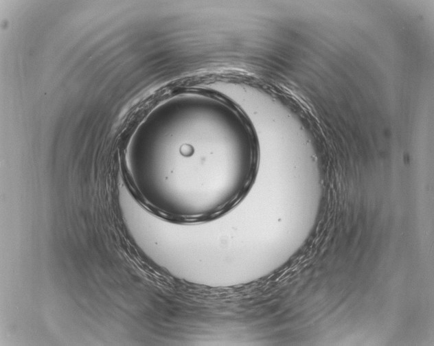 X0000060810920200511141502