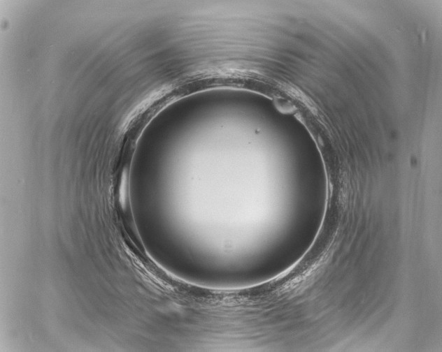 X0000060810922200511141502