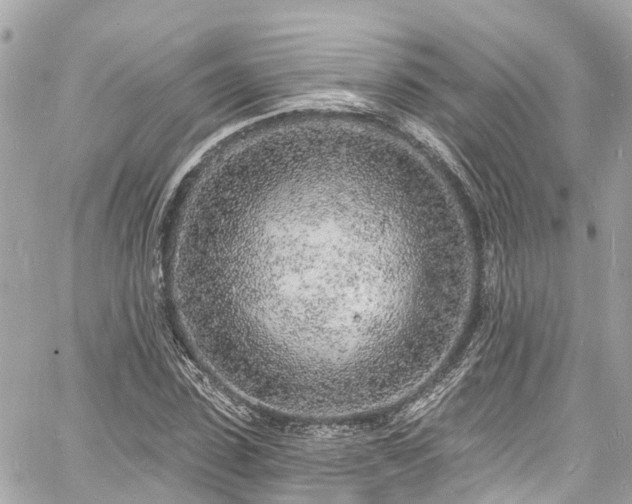 X0000060810923200511141502