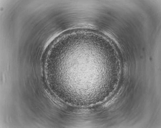 X0000060810925200511141502