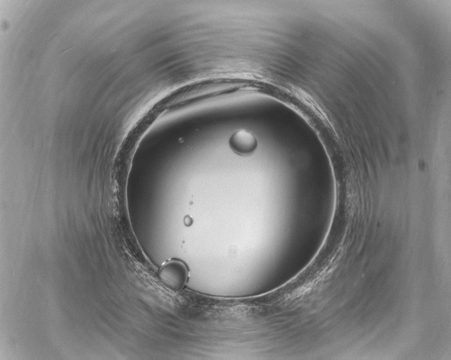 X0000060810926200511141502