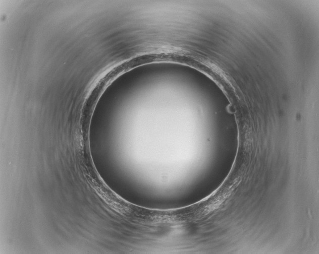 X0000060810927200511141502