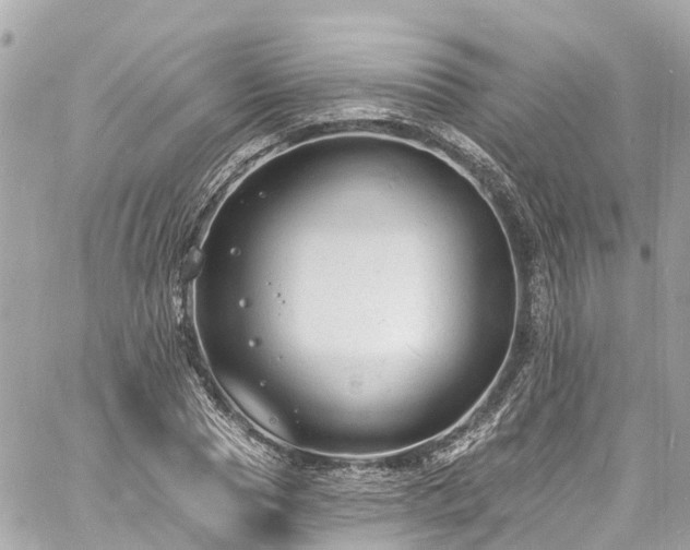 X0000060810929200511141502