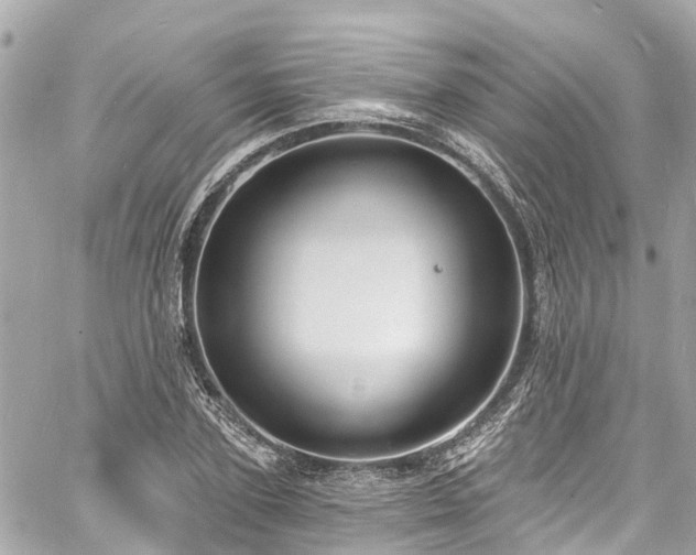 X0000060810931200511141502