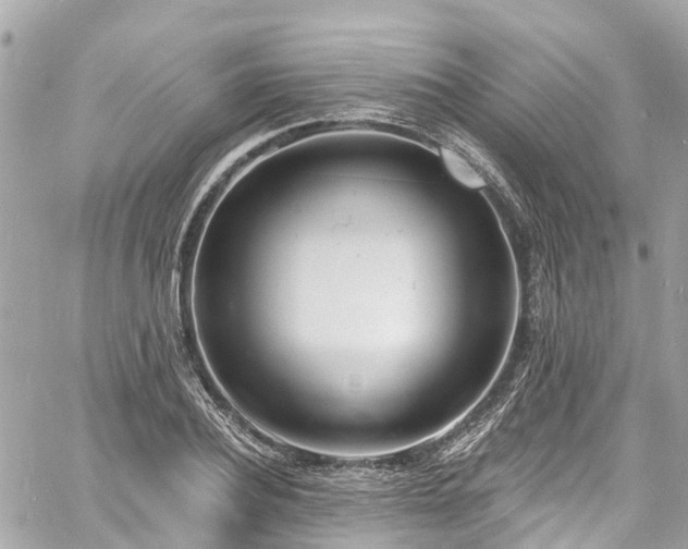 X0000060810932200511141502