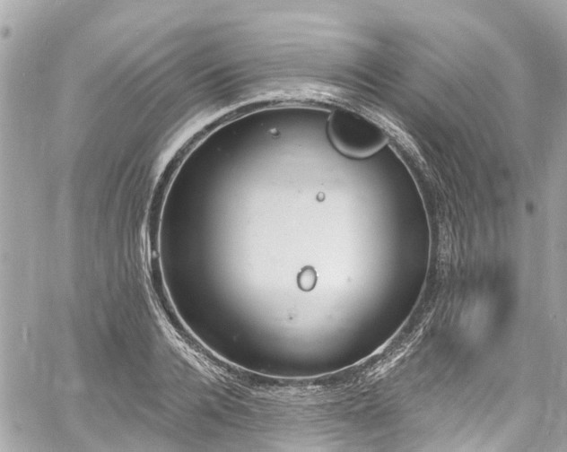 X0000060810936200511141502