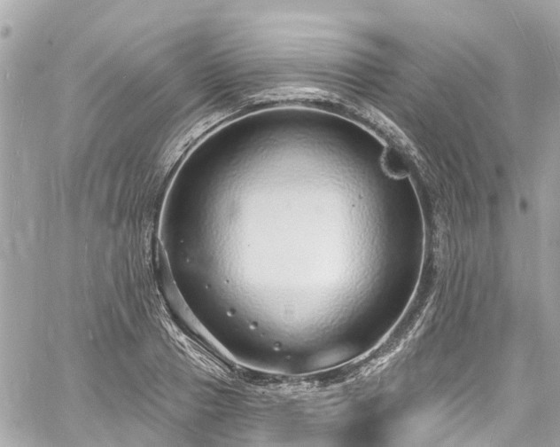 X0000060810937200511141502