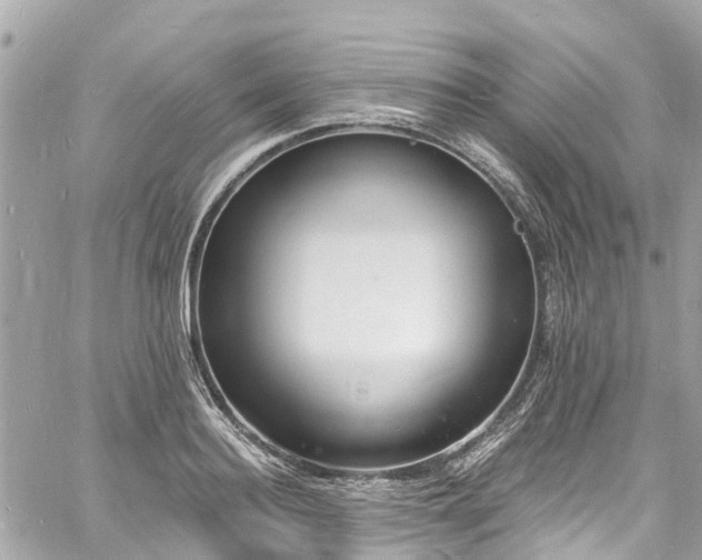 X0000060810940200511141502