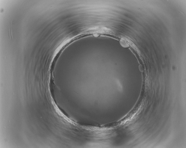 X0000060810941200511141502