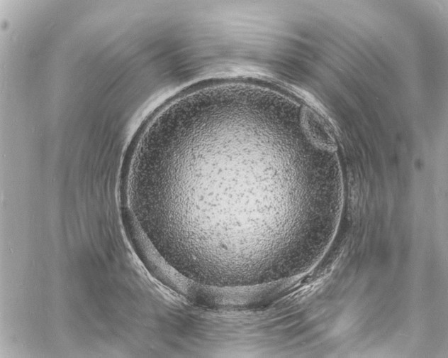 X0000060810943200511141502