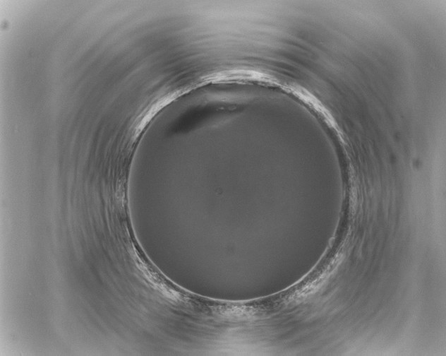 X0000060810945200511141502