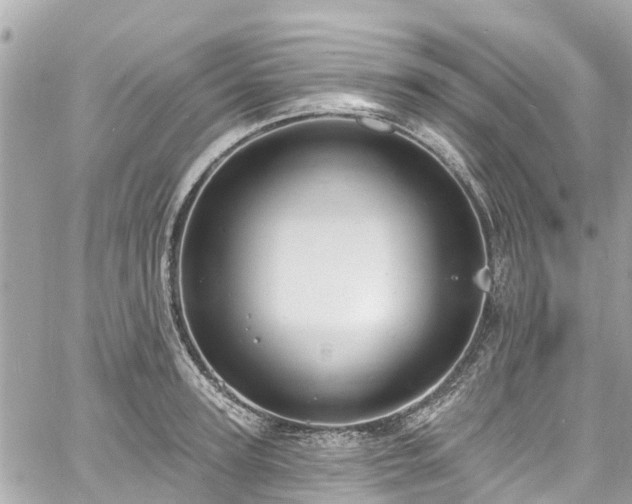 X0000060810947200511141502