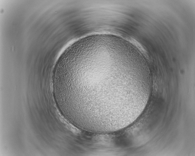 X0000060810950200511141502