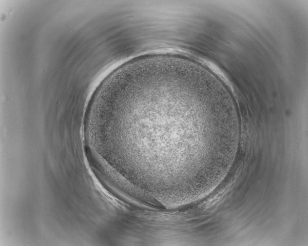 X0000060810951200511141503