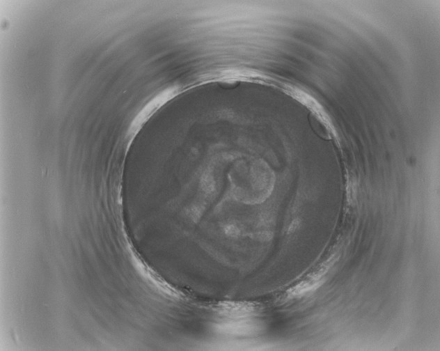 X0000060810954200511141503