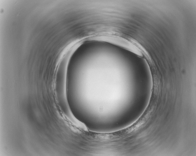 X0000060810956200511141503