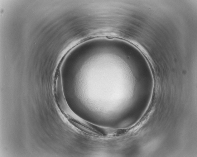 X0000060810957200511141503